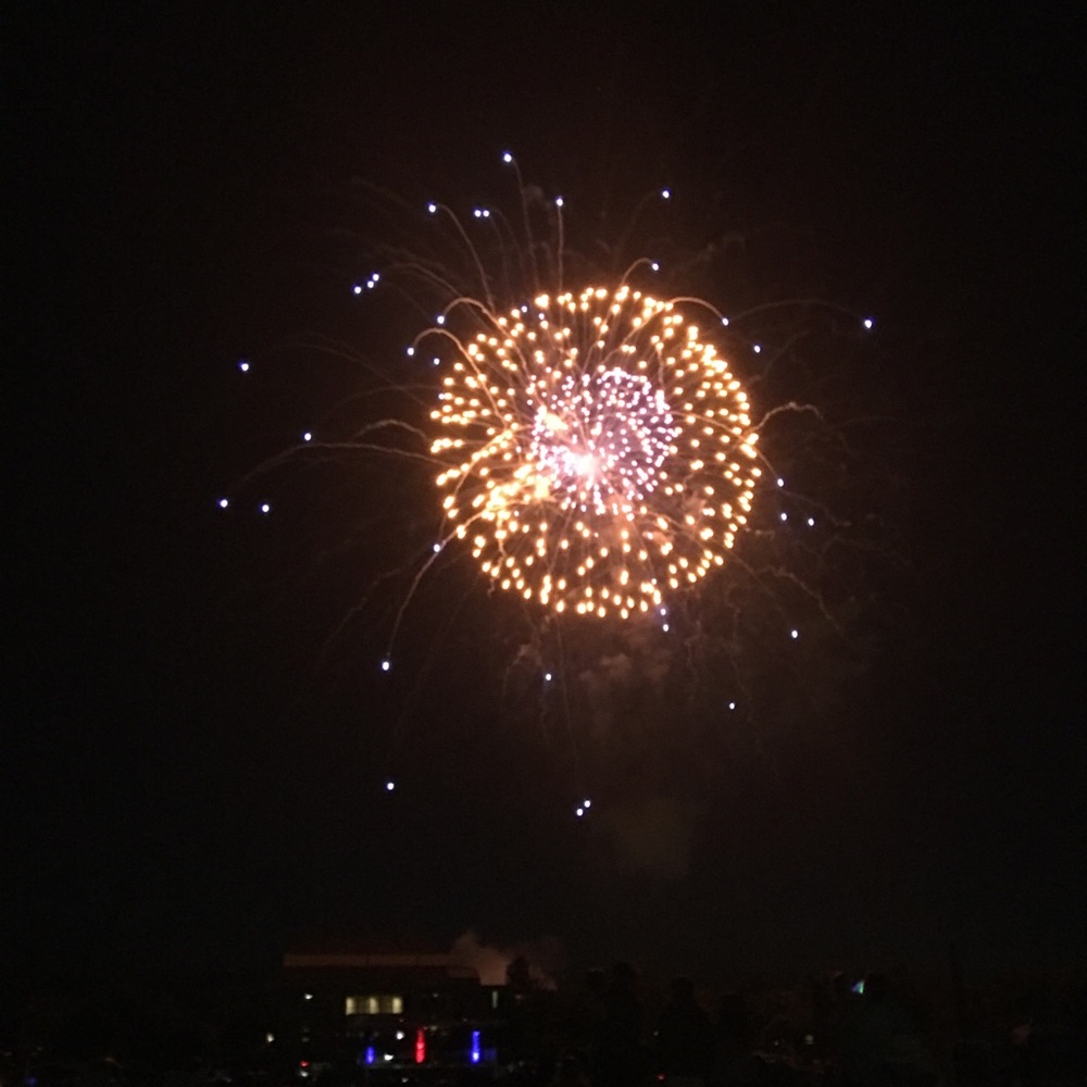 Meet your Posher, Audrey